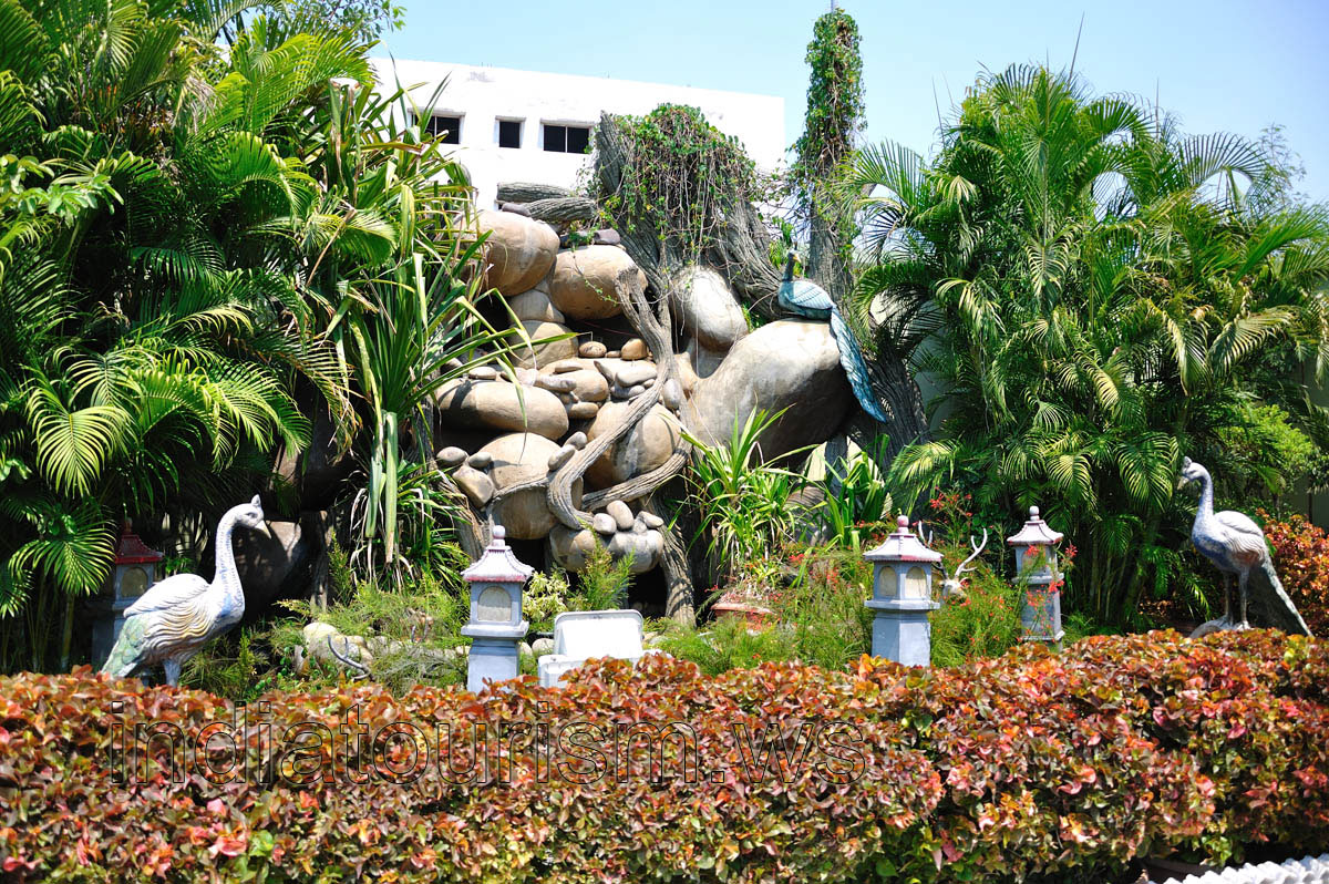 Windsor Gardens, landscape design with peacocks
