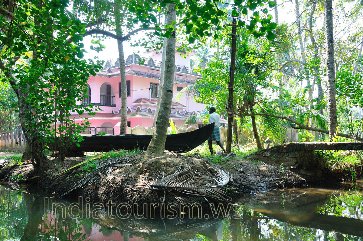 The backwaters have a unique ecosystem - freshwater from the rivers meets the seawater from the Arabian Sea