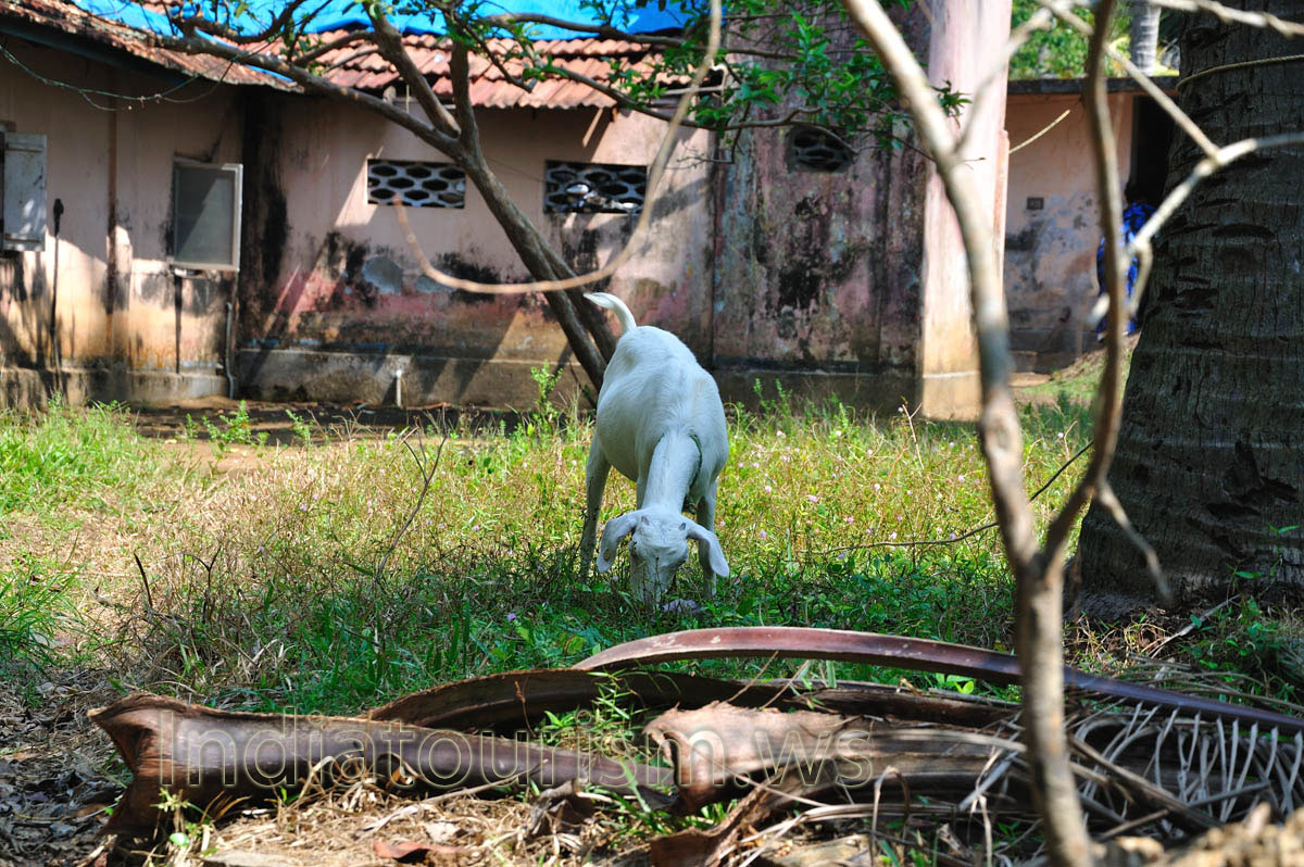 One of the most interesting parts of the canoe trip is getting to see village life up close