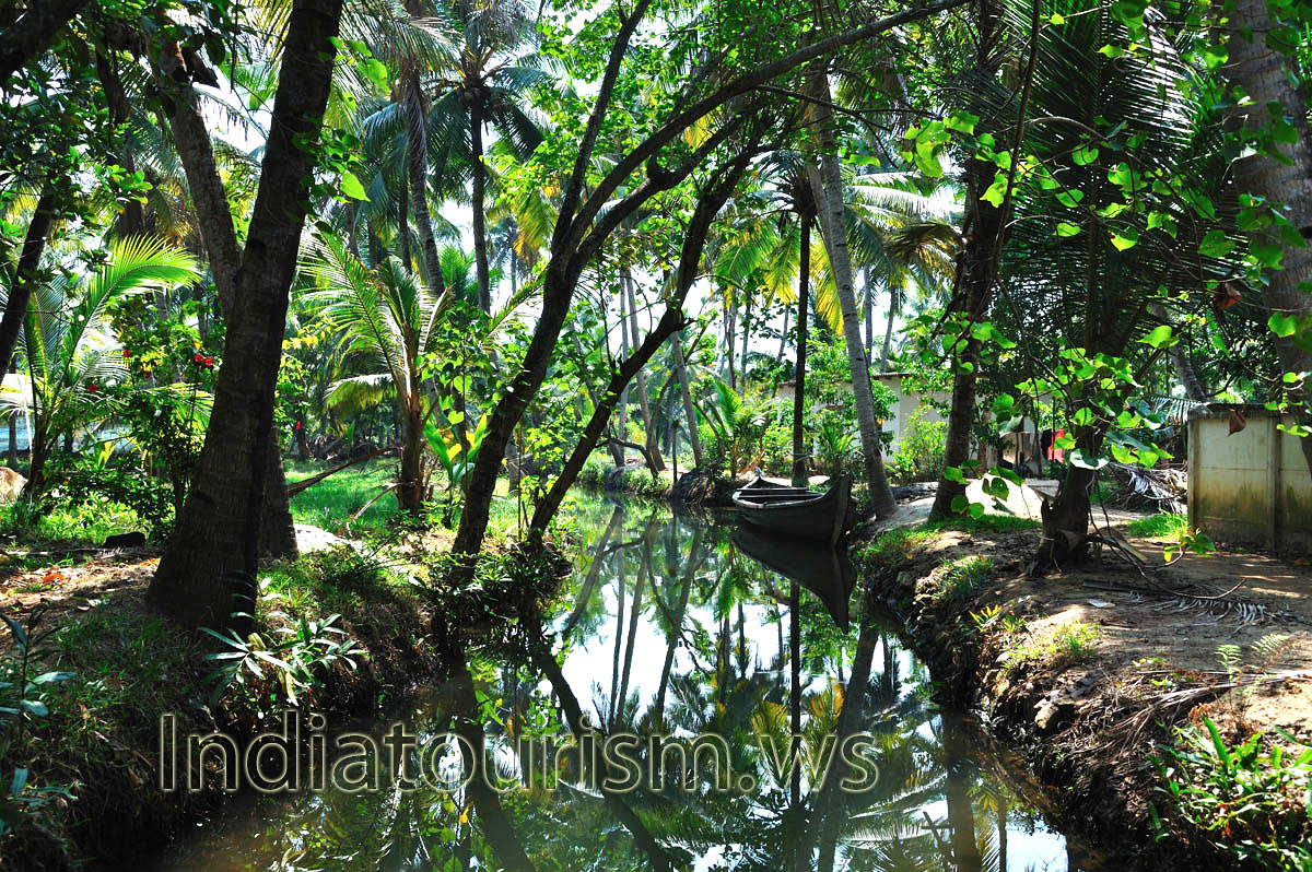 If you are cherishing the idea of spending your vacations with the green beauty, then step into a country boat and you get a pleasure cruise through the narrow canals