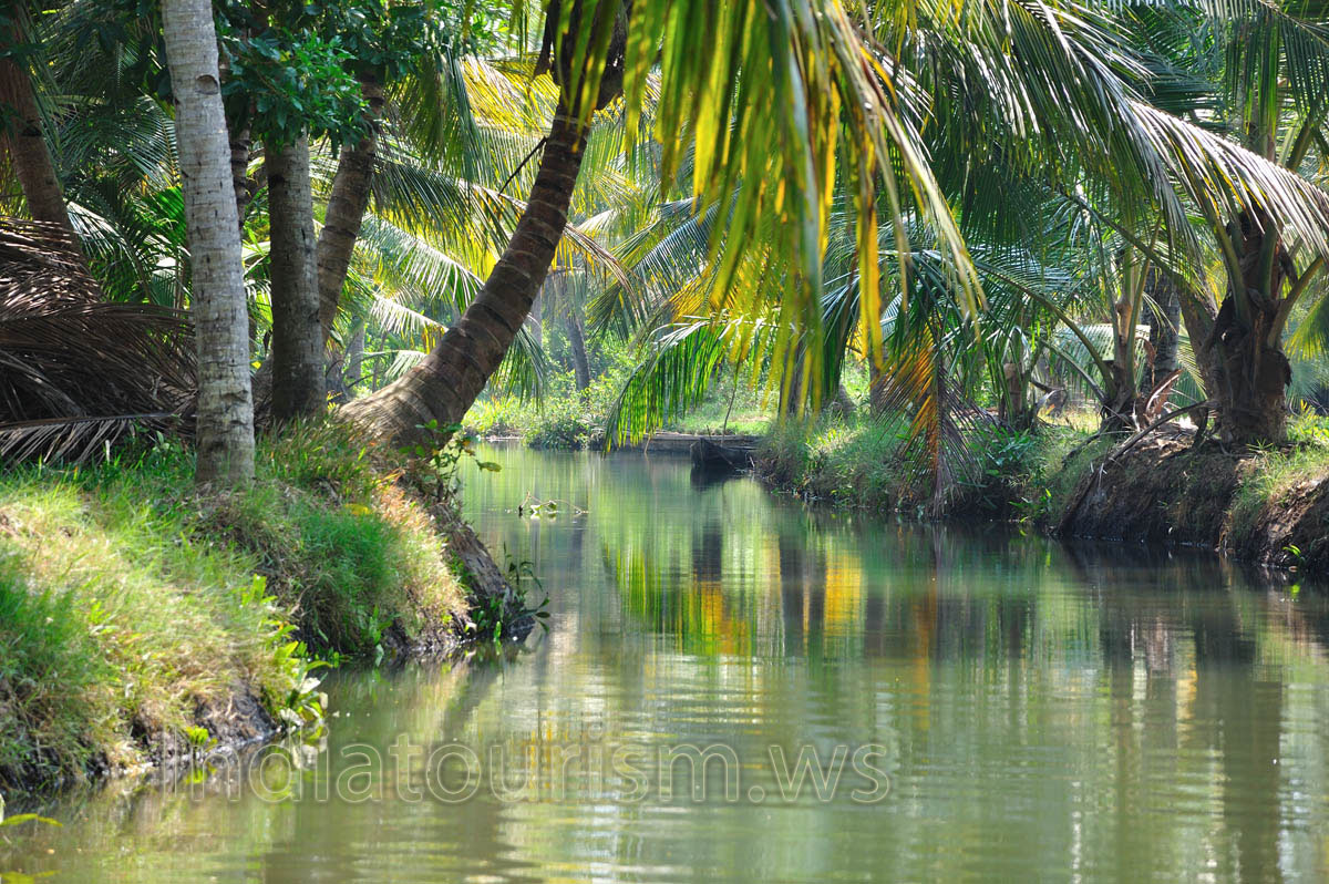 We arranged our canoe trip from Kollam, a typical small market town in southern Kerala