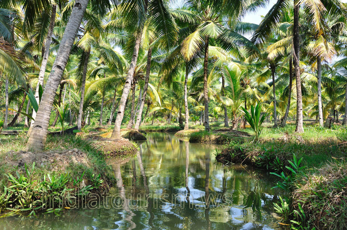 The backwater beauty is depends on the narrow canals