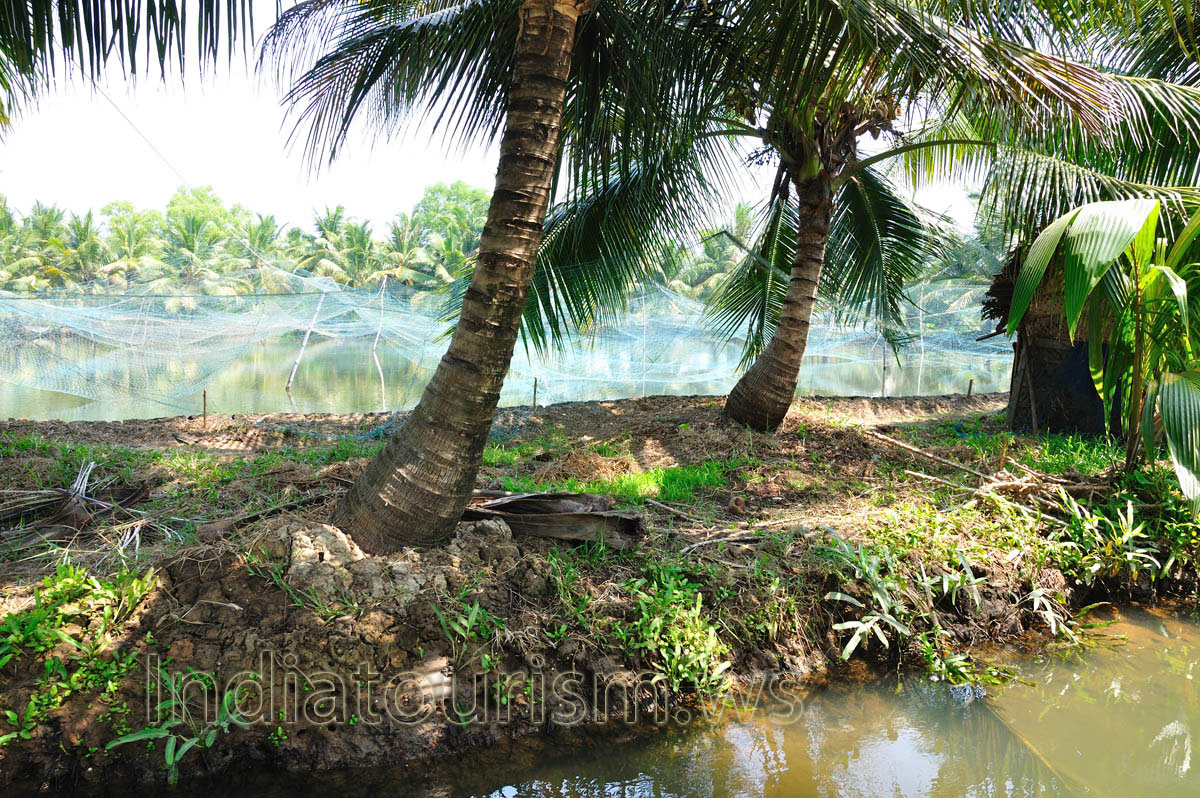 we are cruising through narrow canals in a canoe boat