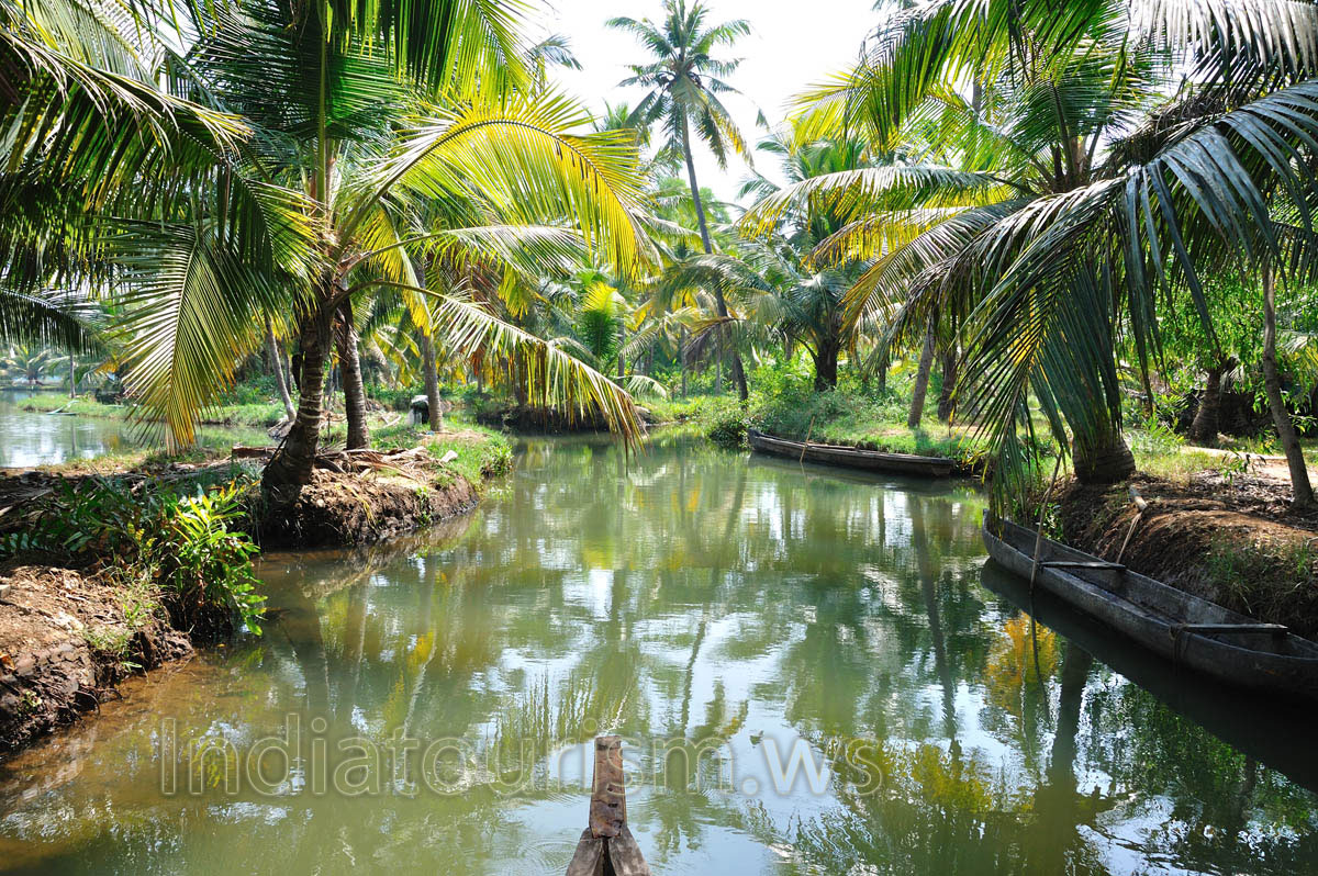 but the fascination of backwater is unparalleled