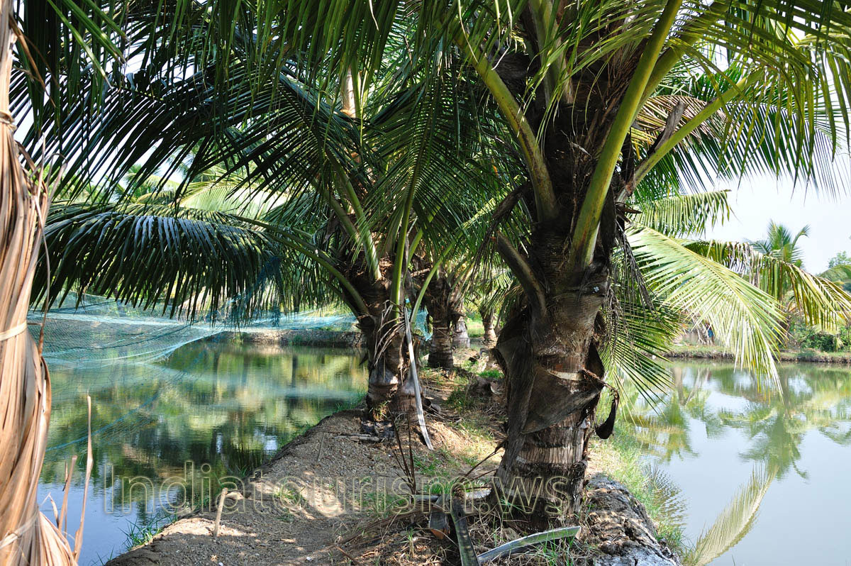 The trip was easily arranged at the DTPC tourist information centre by Kollam bus station next to Ashtamudi Lake