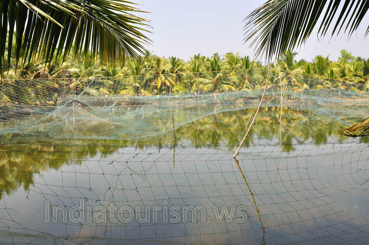 We saw how people make a living by numerous means