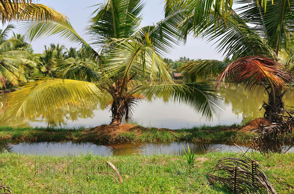 Canoe ride is a sightseeing method recommended to the tourist who is willing to be away from sound and noisy of busy life