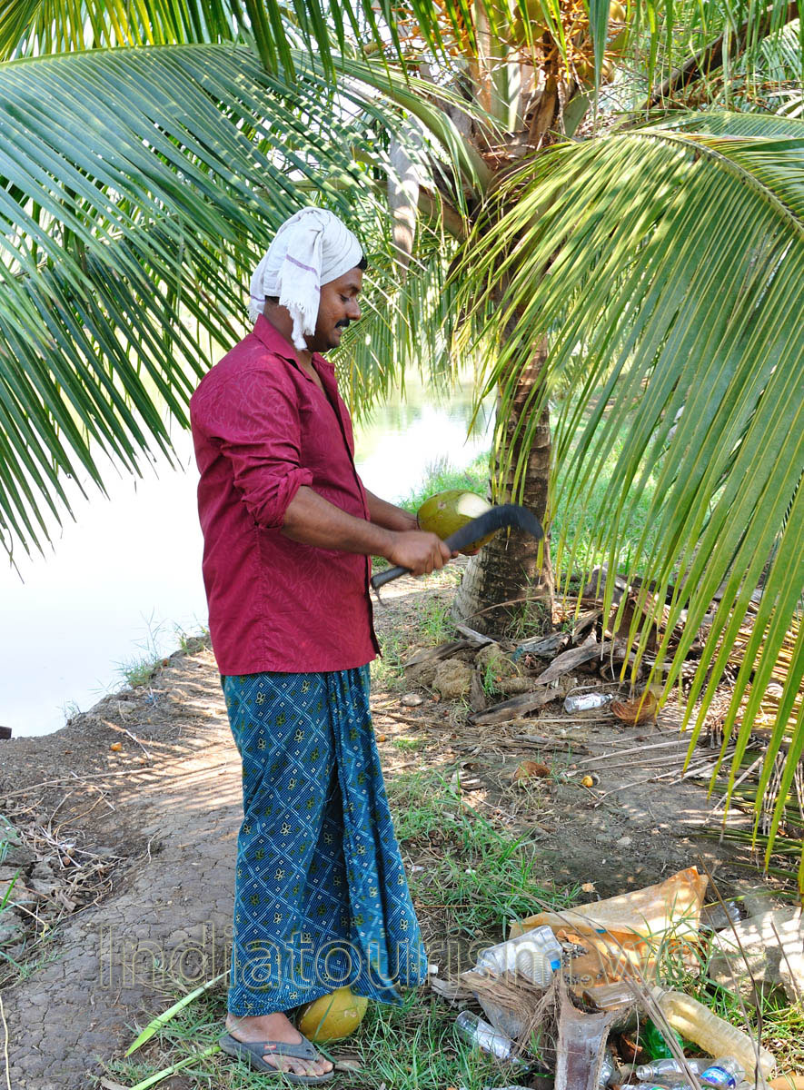 local man prepares the coconut fruit for us - it is very cheap here