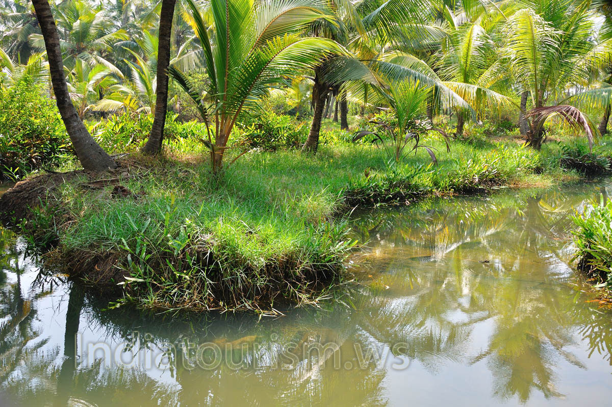 This is an amazing way to walk through the paddy fields and villages of nearby areas