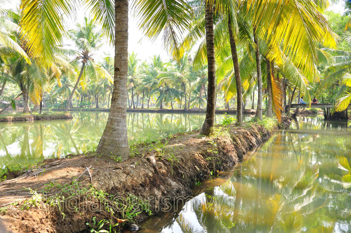 It is not a lazy boat ride. It is as adventurous a water sport as any other.