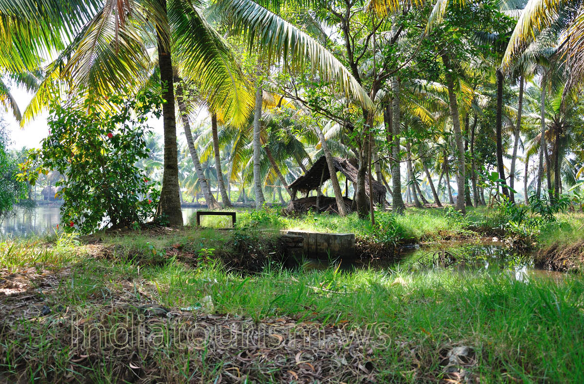 canoeing in Kerala is a fantastic way to relax