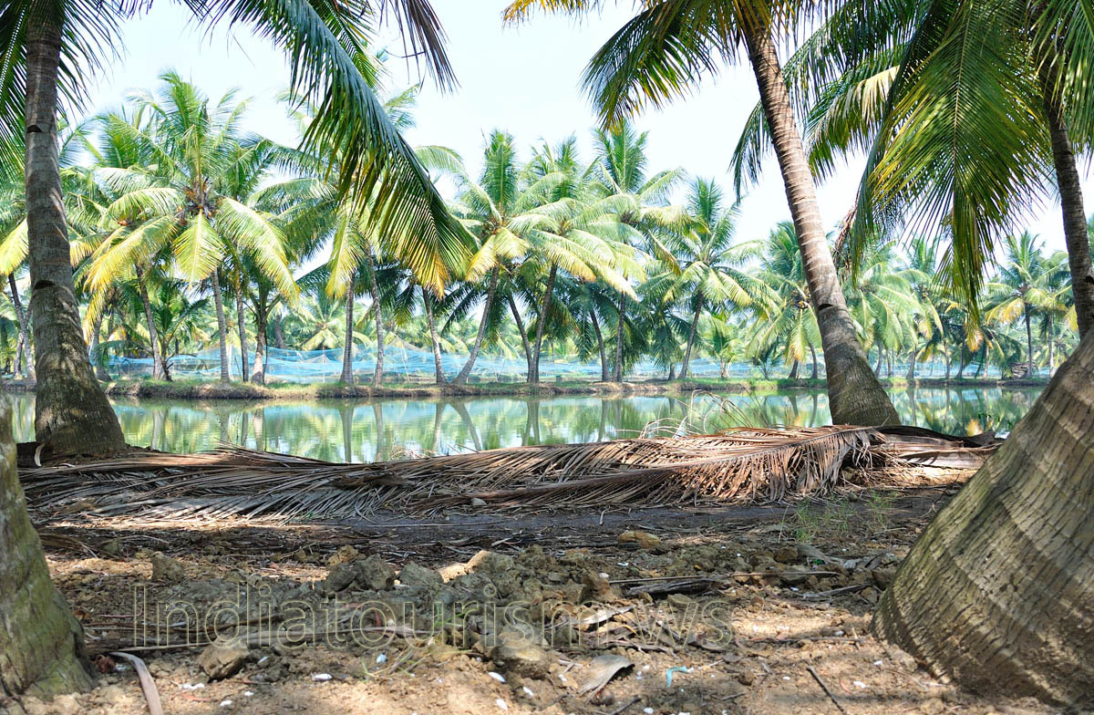 lakes and ponds of Kerala are suit for a canoe ride