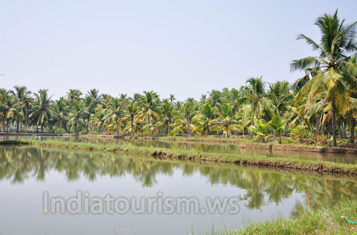 small artificial ponds for fishing