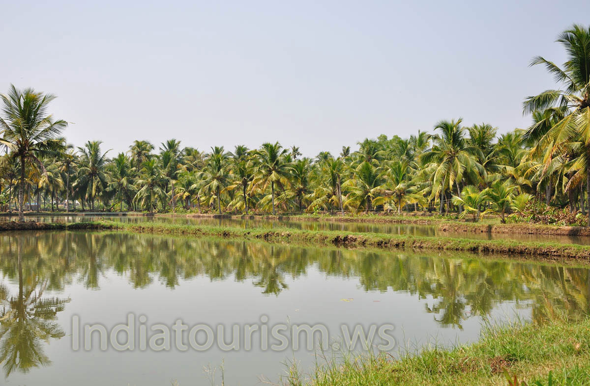Kayaking in Kerala is the best way to explore the surroundings