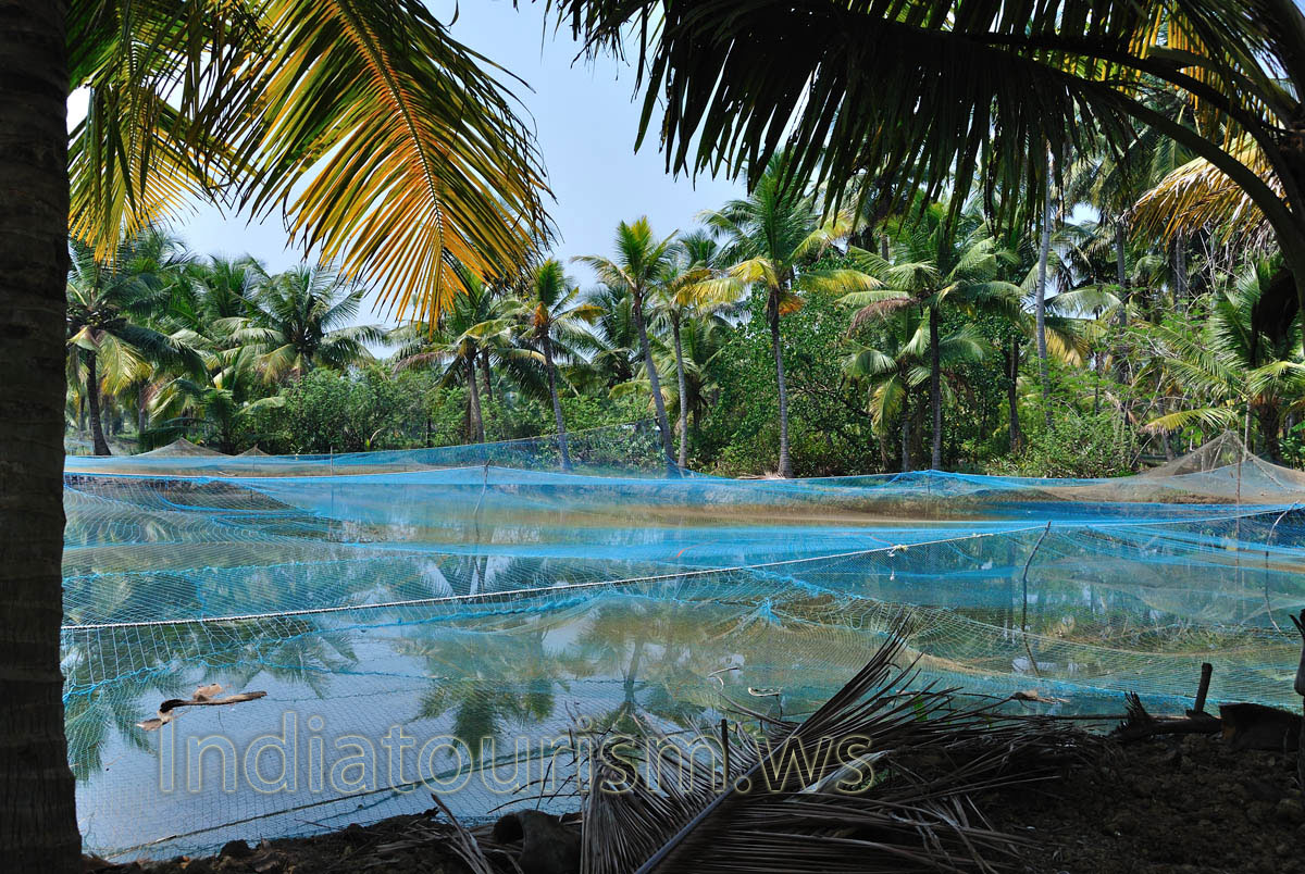 Typical Kerala lifestyle in complete simplicity