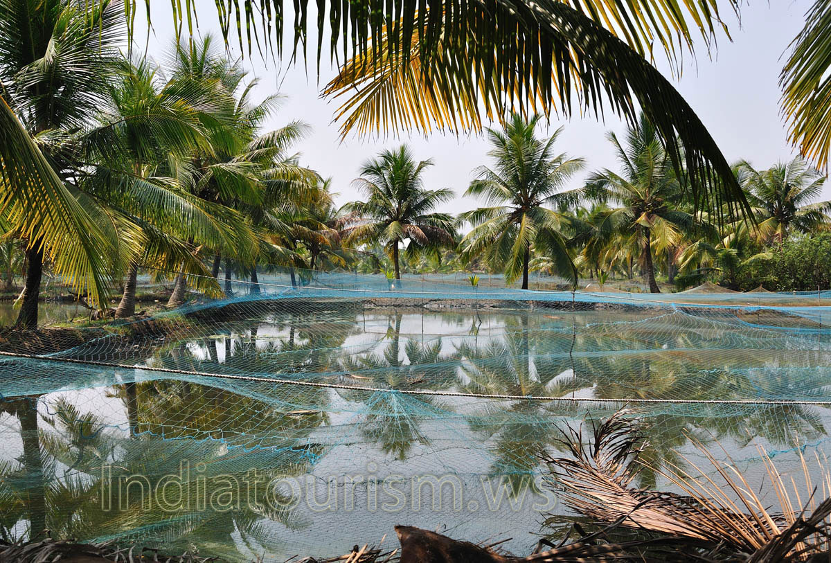 kayak guides will accompany you during your trip