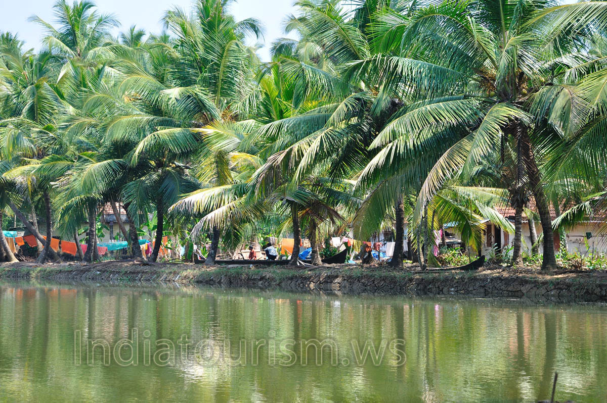 we have the advantage to look closer at the village life in Kerala