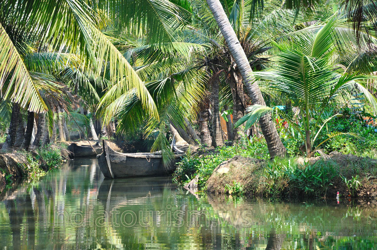 It is a unique experience as this is as close as one can get to feel the vibrant life in the countryside of god's own country Kerala
