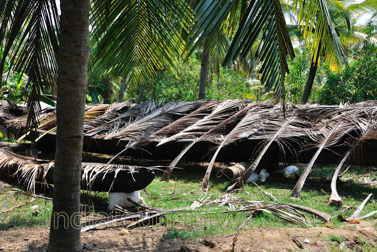One thing that can be guaranteed is that your connection with nature will be something that will transform you into a new person altogether