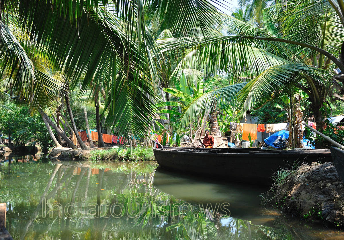 The backwater cruise is a thrilling experience