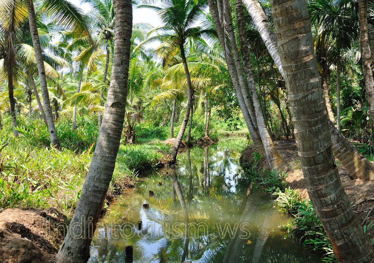breathtakingly beautiful backwaters