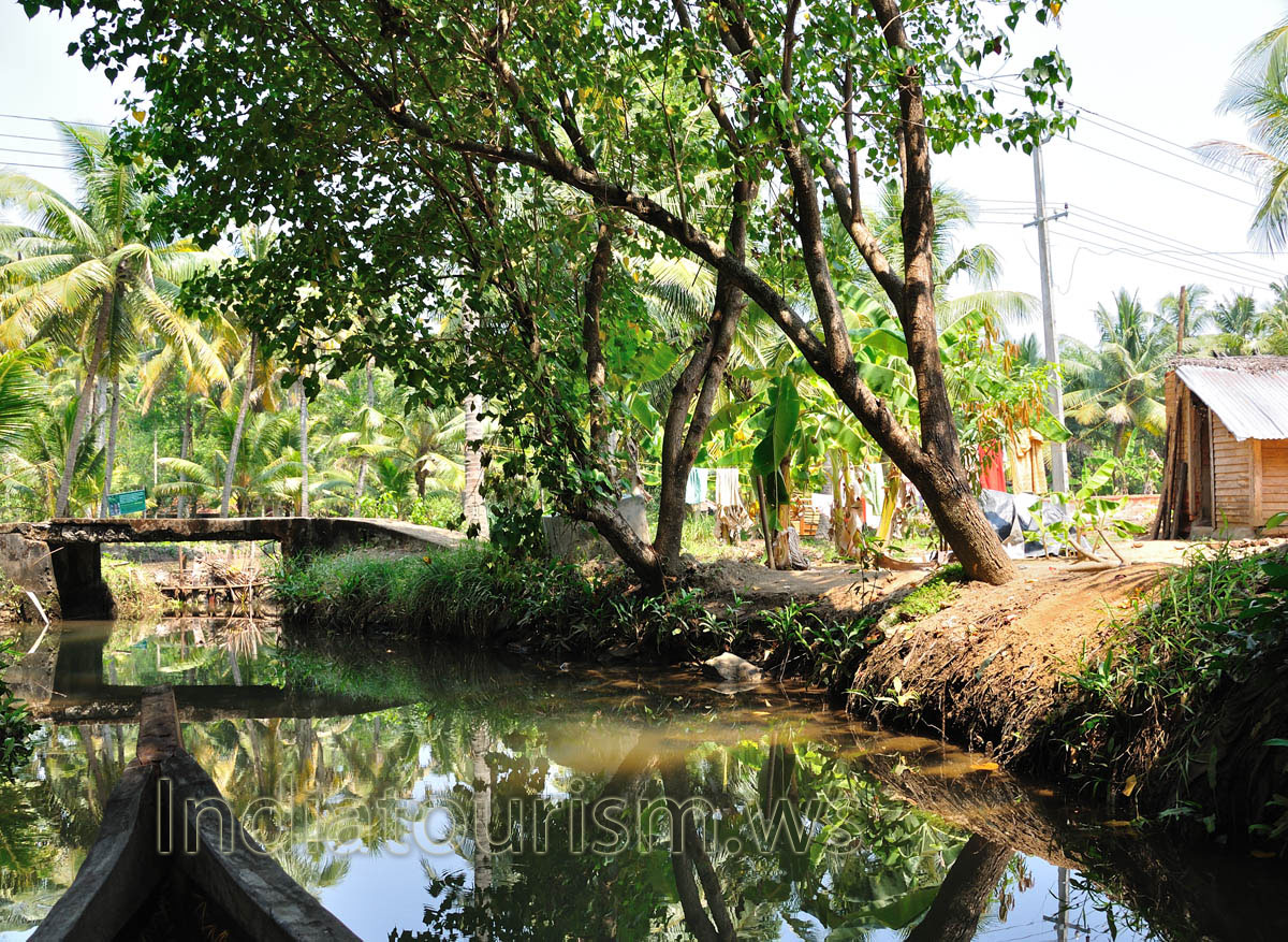 Chill out at the backwaters of Kerala and be assured to enjoy the time of your life!