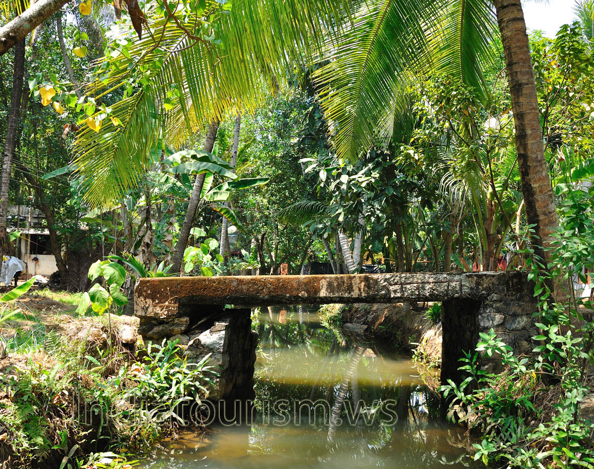 The entire journey is a moving picture with beauty of nature at its best