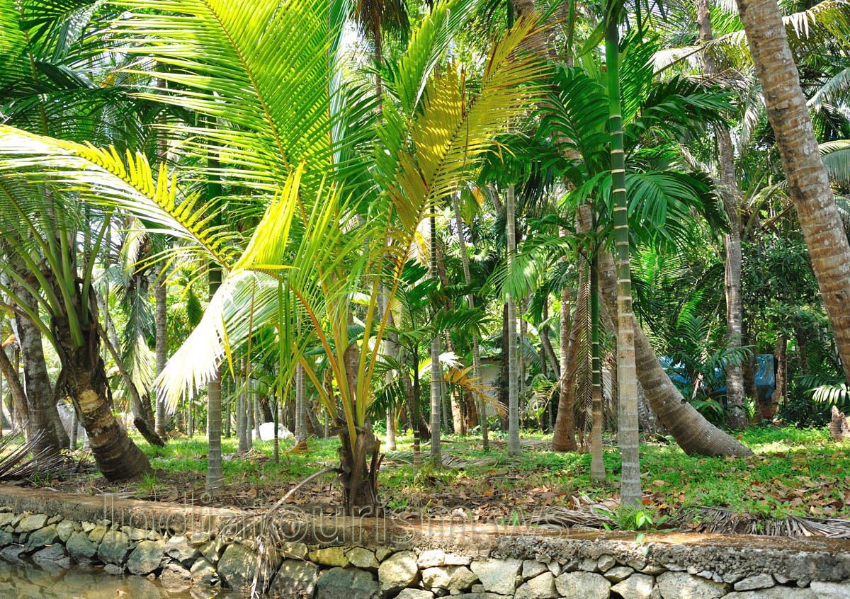 canoeing here is an experience you'll keep in your memory for a long time