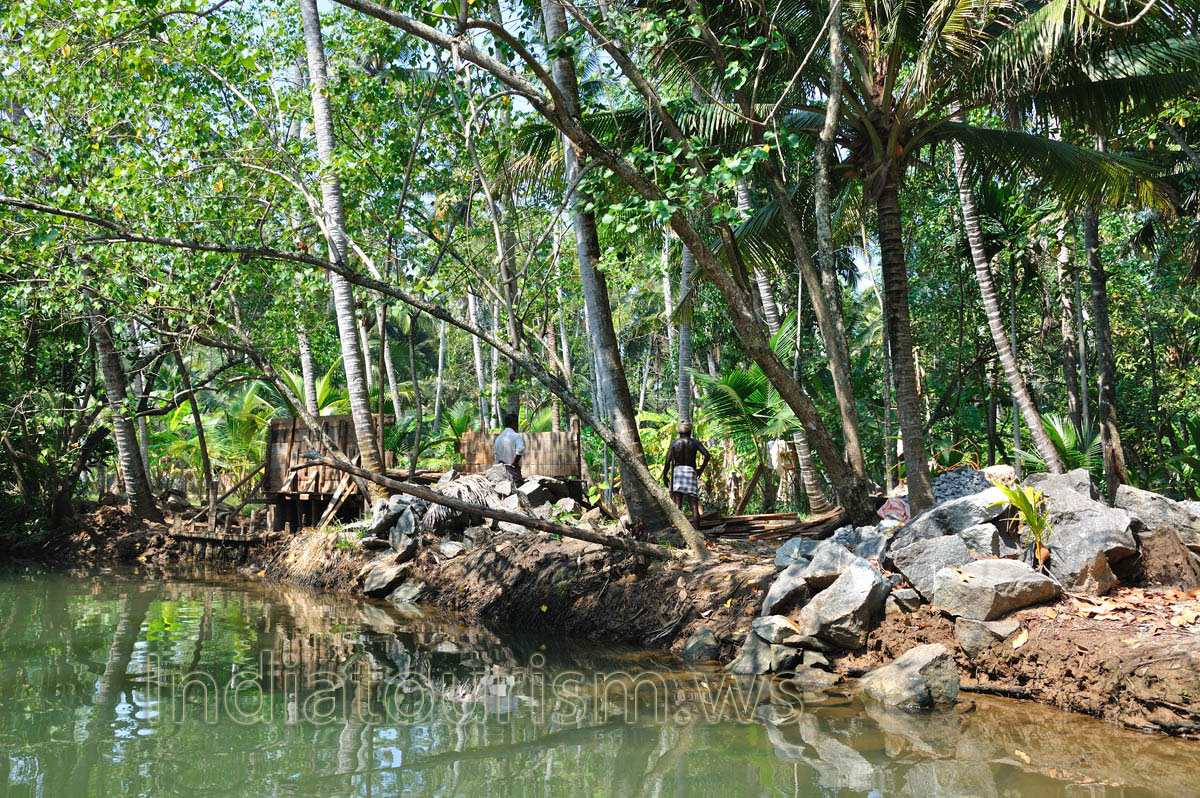 The Kerala backwaters are a chain of brackish lagoons and lakes lying parallel to the Arabian Sea coast