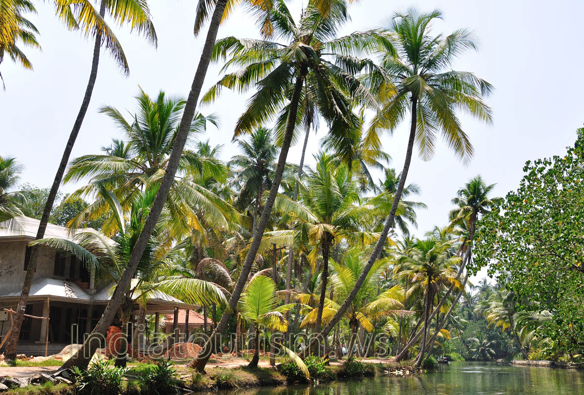 Backwater canoeing in Kerala is coming up as a popular adventure sport with more and more people