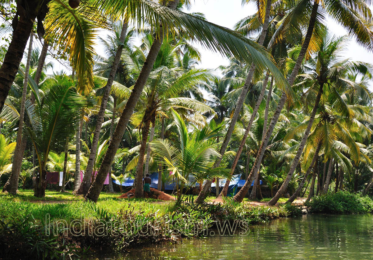 Canoe trips last from 1 hour to a full day