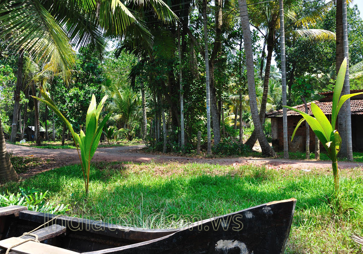 We took a break from the canoe at one point, to explore the village on foot