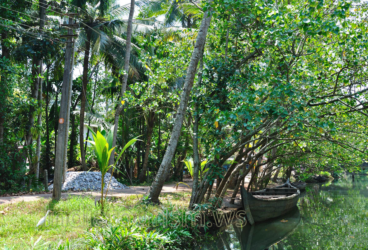 canoe can traverse in the places, which are not accessible to the larger boats
