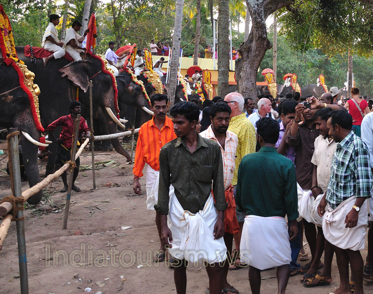 at the festival, despite the fact that we are not the elephants, we have been photographed