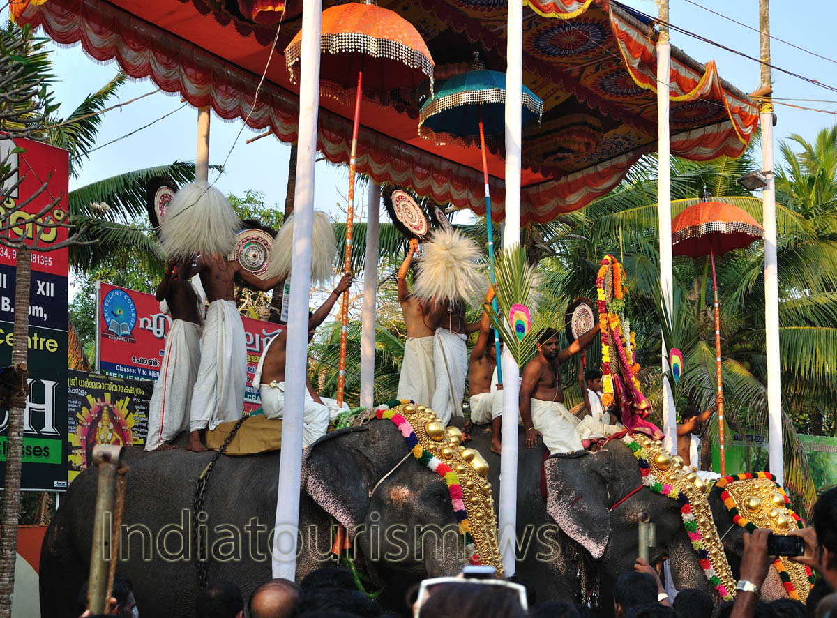 riders dance on the top of the elephants