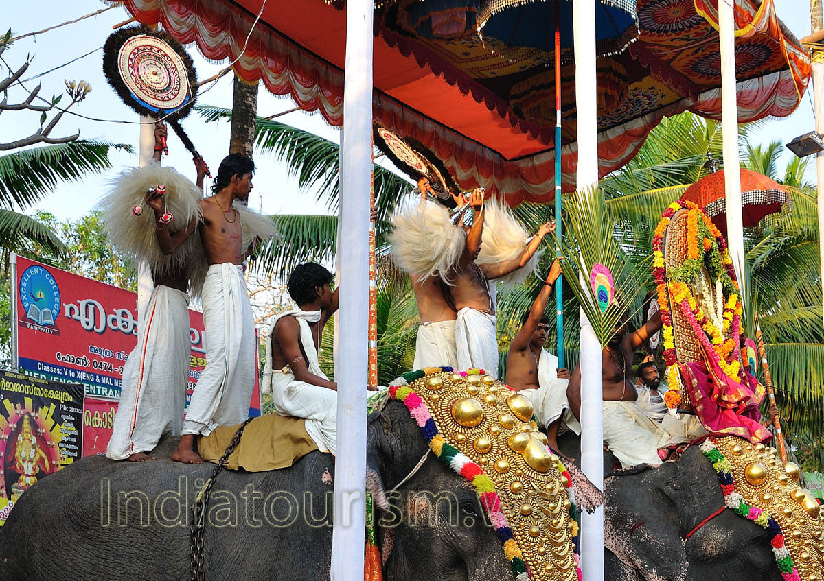 The Paripally Gajamela takes place at the Paripally Kodimootil Sree Bhadrakaali Temple