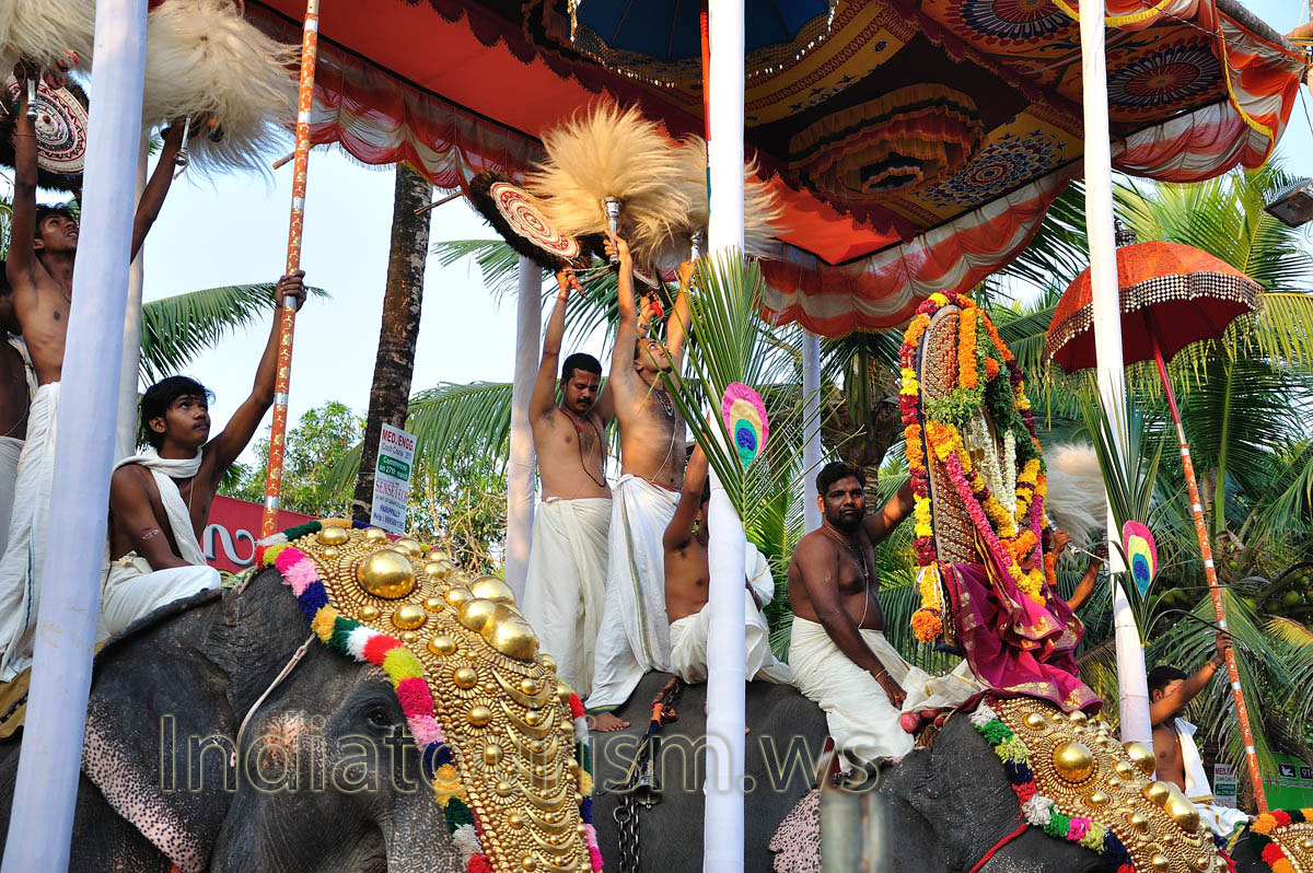 mahouts are holding silk parasols (muthukuda) and swaying white tufts (venchamaram) and peacock feather fans (aalavattom) to the rhythm of the temple orchestra