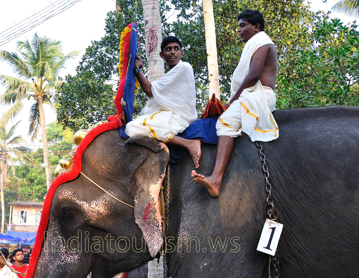 elephant riders