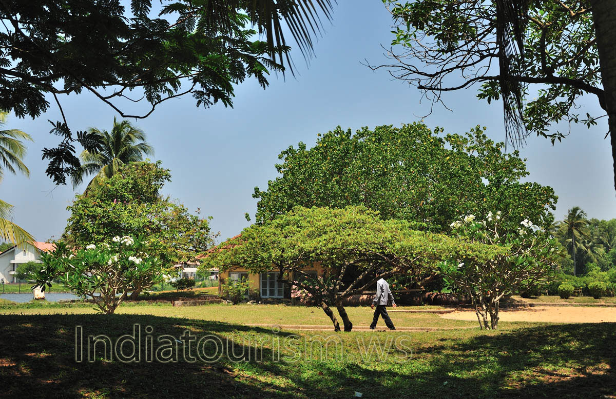 There is a small pond where tourists and visitors can feed the fish