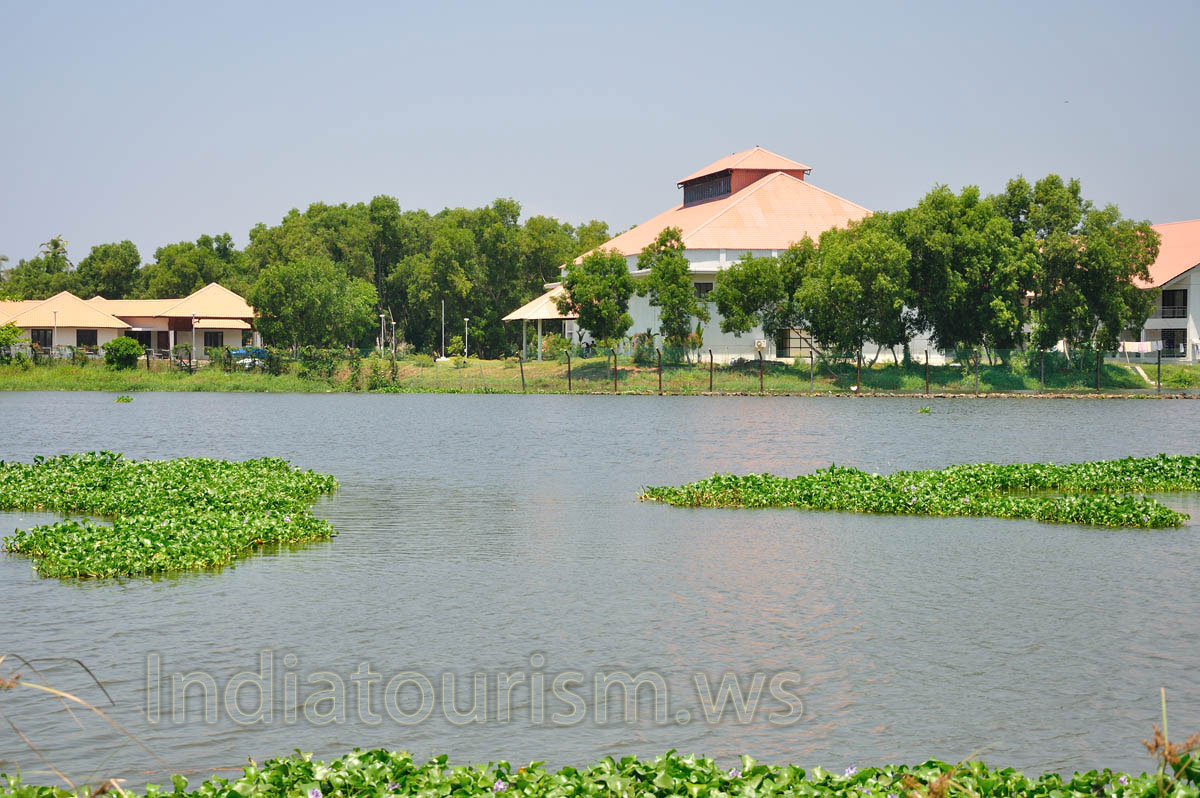 Every family can hire a pedal-boat or a row boat