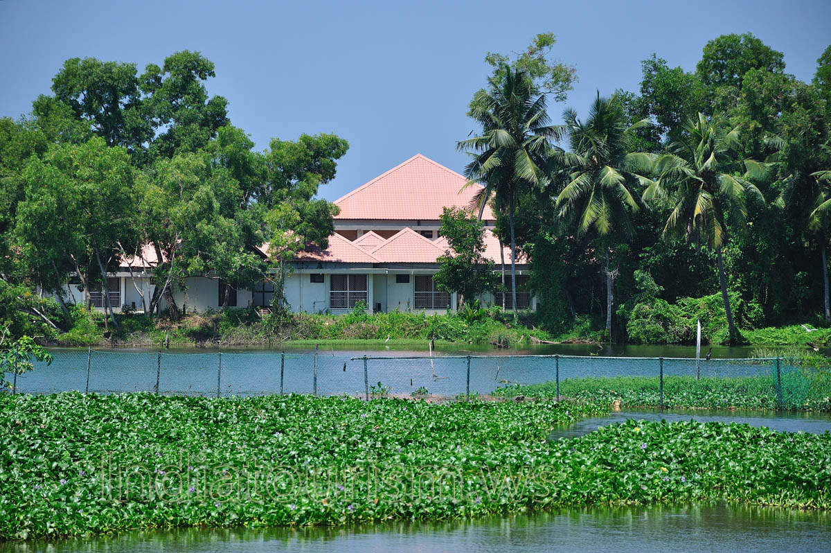 Enjoy the tranquil beauty of the lagoon and the Arabian Sea beyond on a pedal boat or row boat