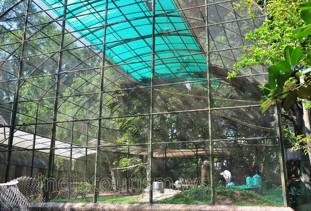 aviary