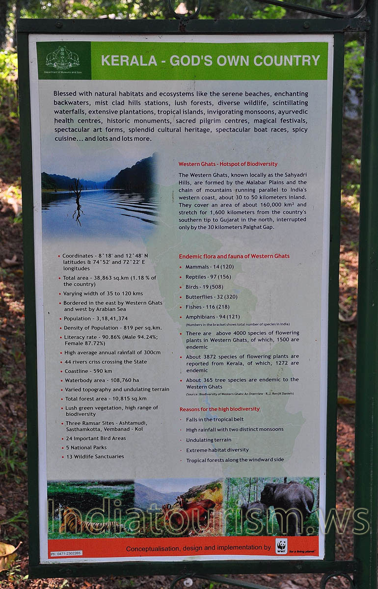 poster about endemic flora and fauna of Western Ghats