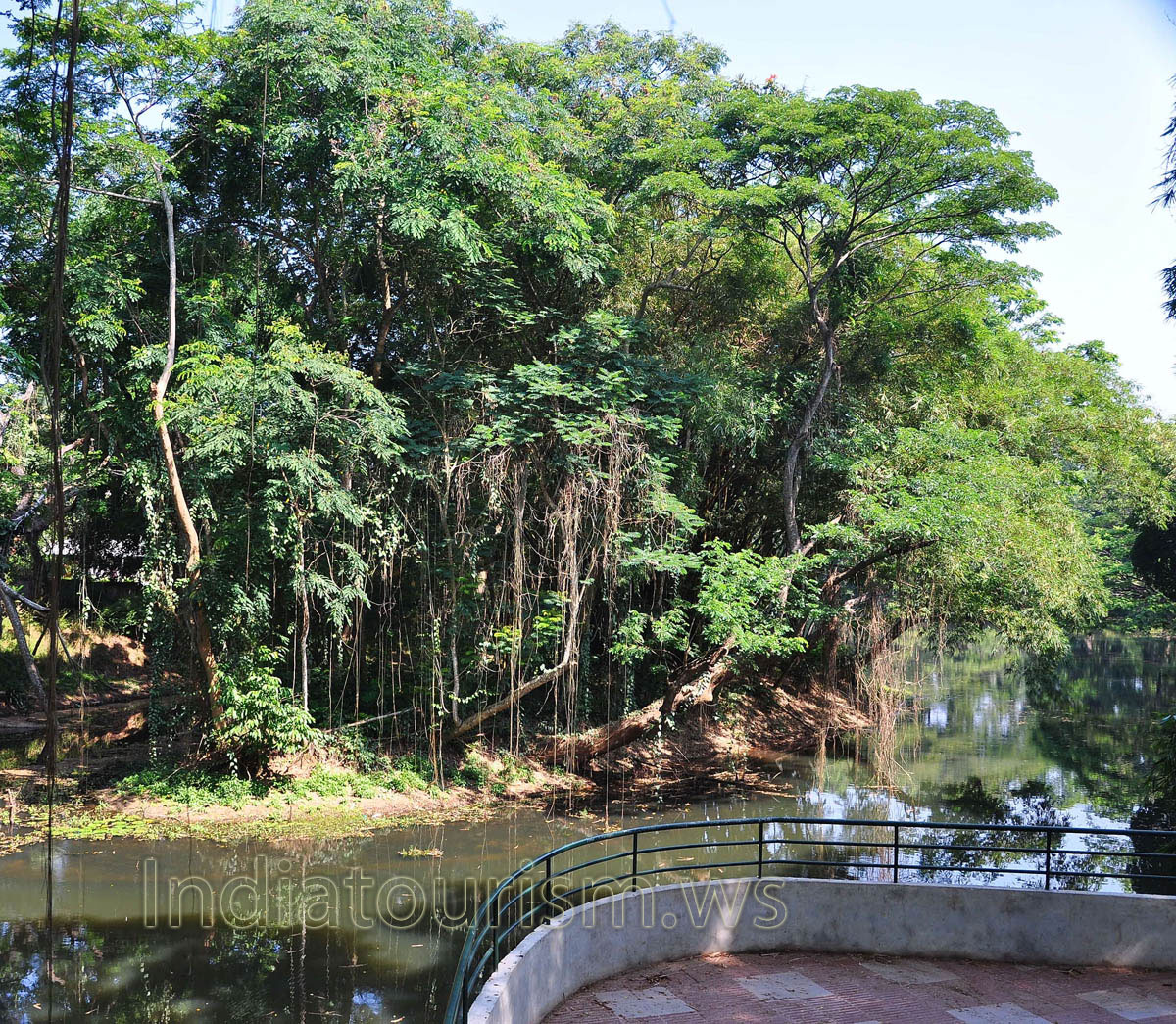 viewing platform is constructed over the lake