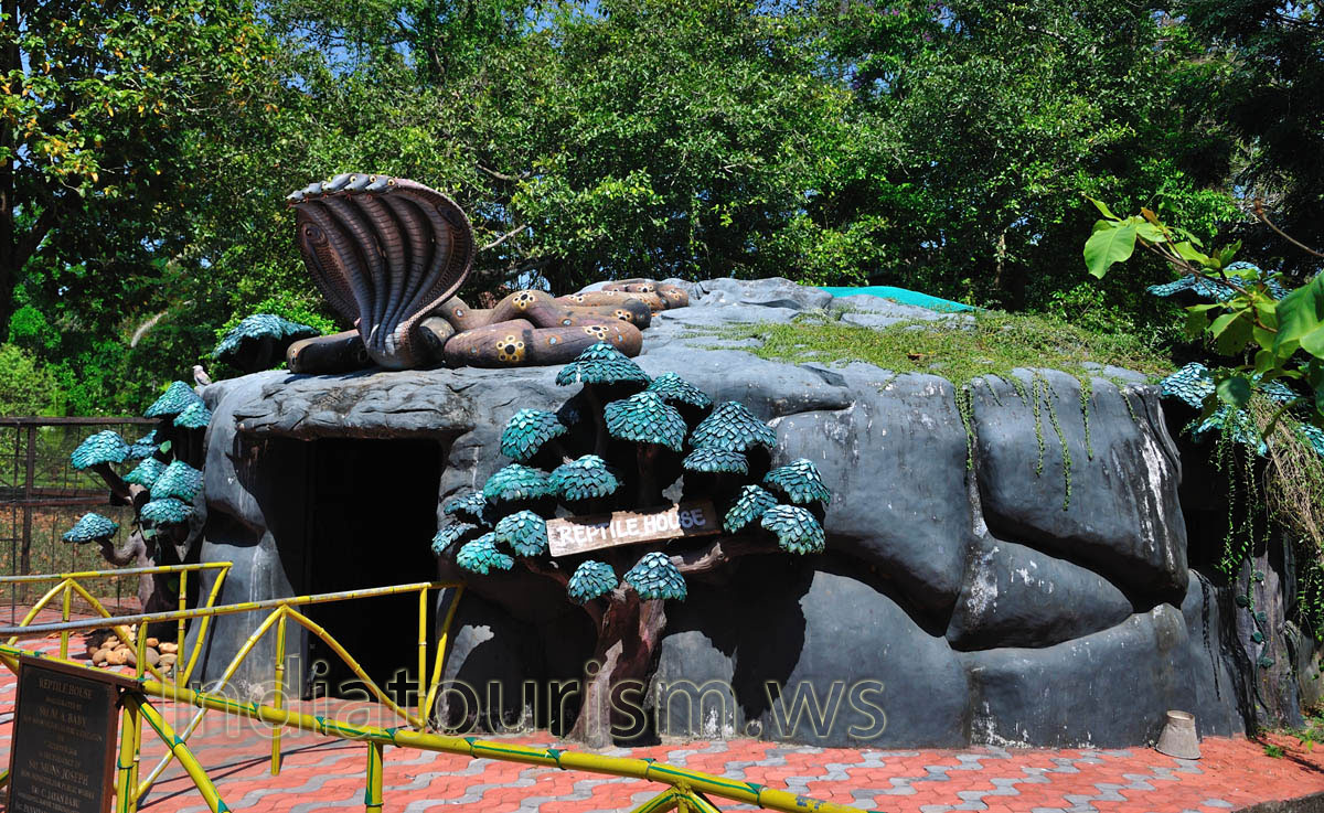 Reptile house has many varieties of snakes