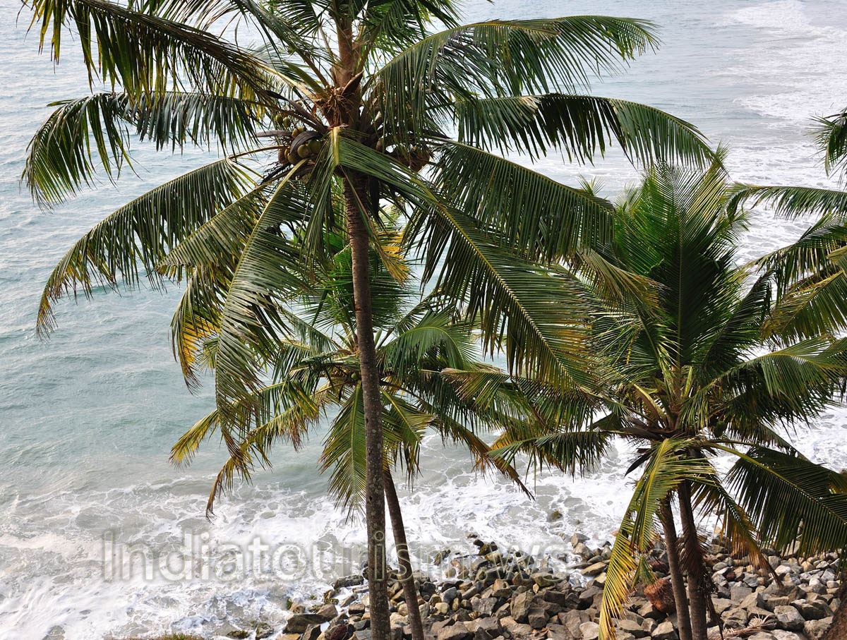 rocky shore of the Arabian Sea