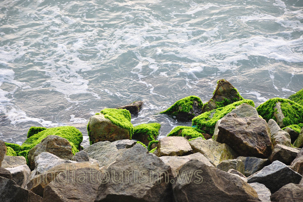 Green moss has covered the stones