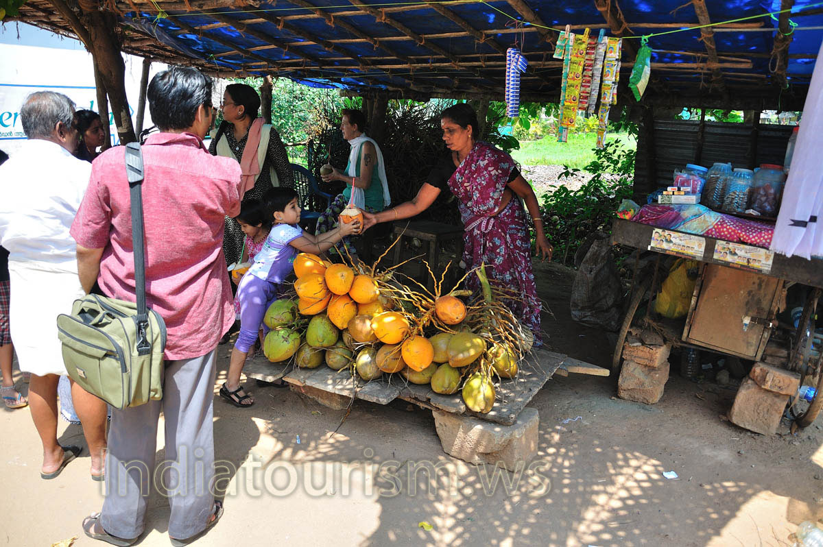 sale of green and orange coconuts