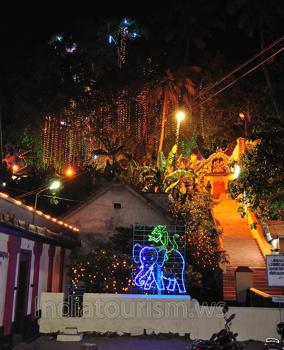 monkey rides on the elephant