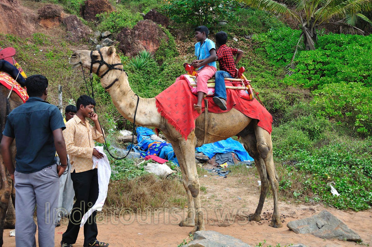 children riding on a camel